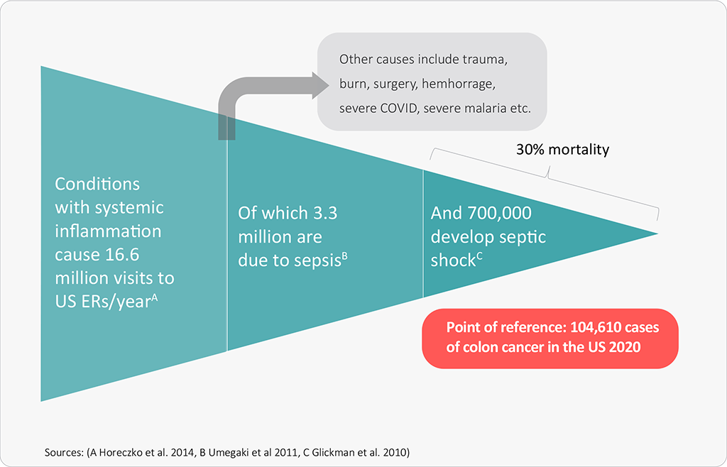 Systemic Inflammation Image
